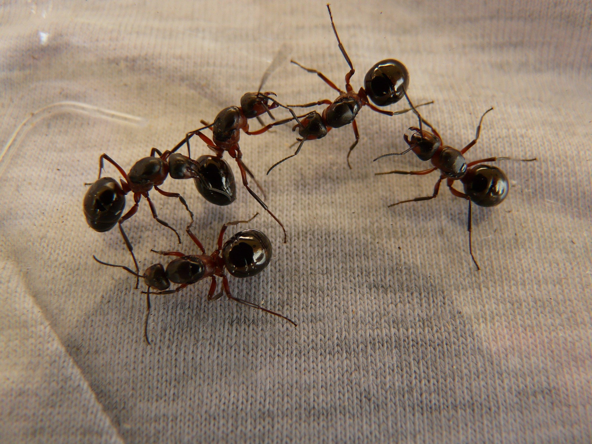 Účinné řešení, které funguje dlouhodobě